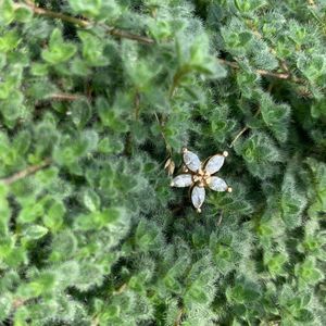 Single gold plated sterling silver earring